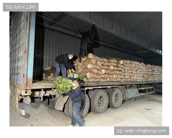 球迷区官方医务站突发药物短缺应急补给方案，抢救药品存在的问题及原因分析